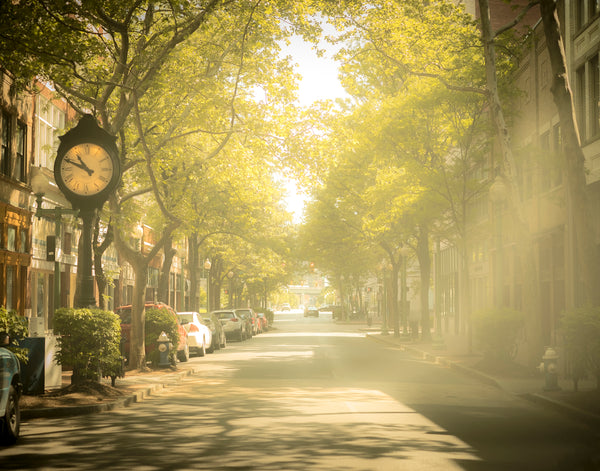 Summer on Capitol Street