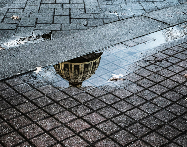 Capitol Reflections