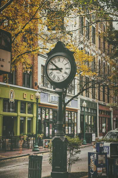 Fall on Capitol Street